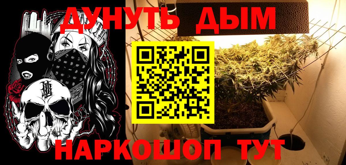 Шишки марихуана гибрид  Вход с VPN  Астрахань  Марихуана ГИДРОПОН  Бошки марихуана SATIVA & INDICA 